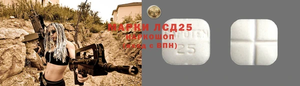 гашик Михайловск