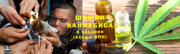 гашик Михайловск