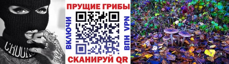 Псилоцибиновые грибы Magic Shrooms  Купить где  Кириши 